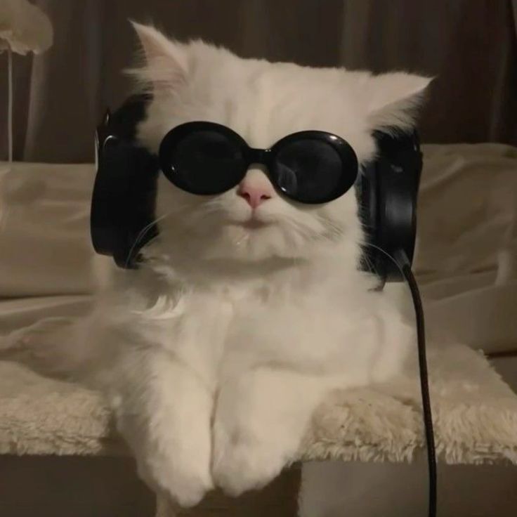 dj A