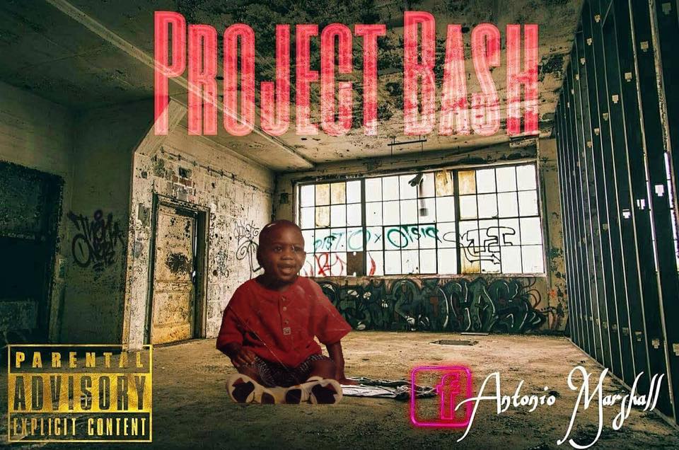 Project Bash