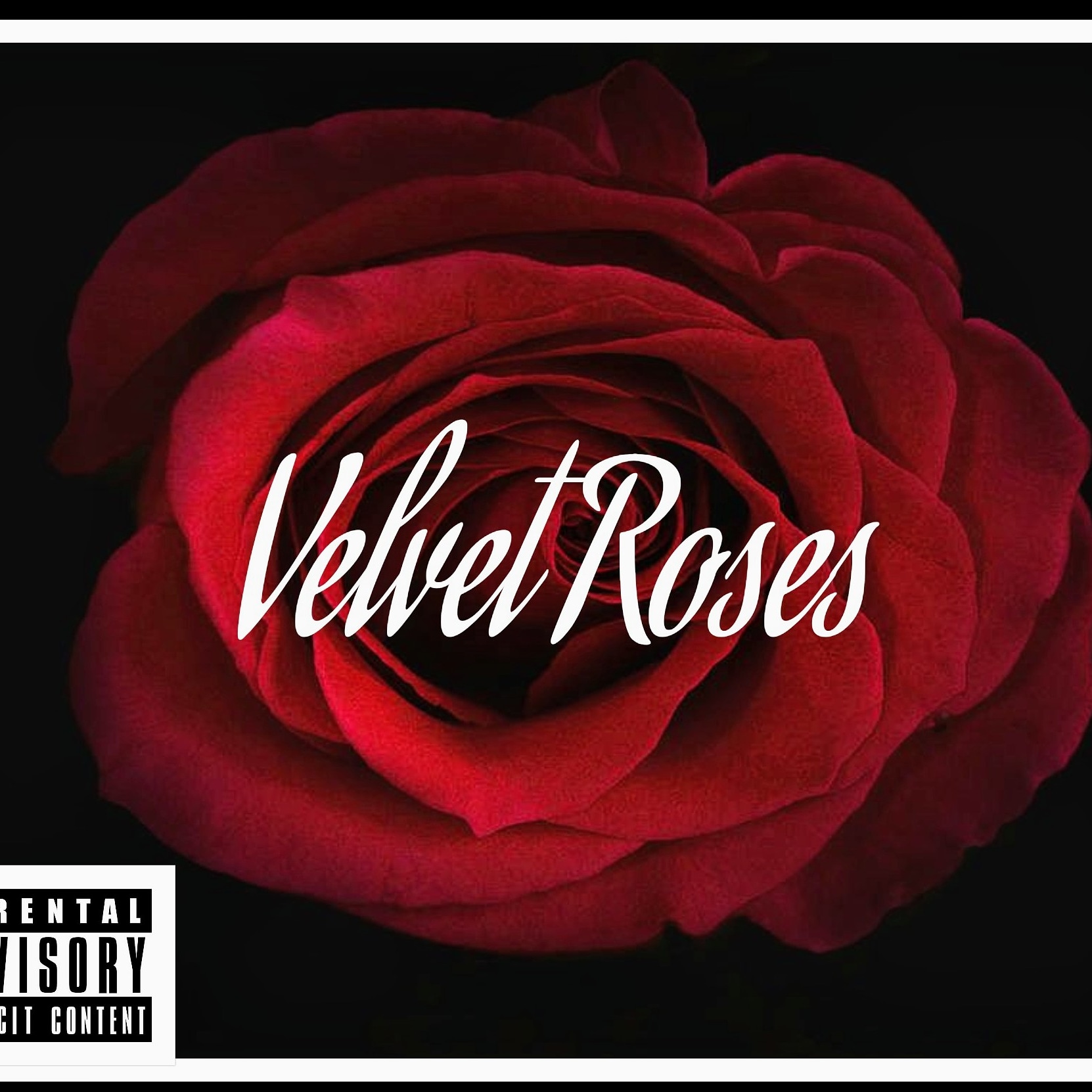 Velvet Roses